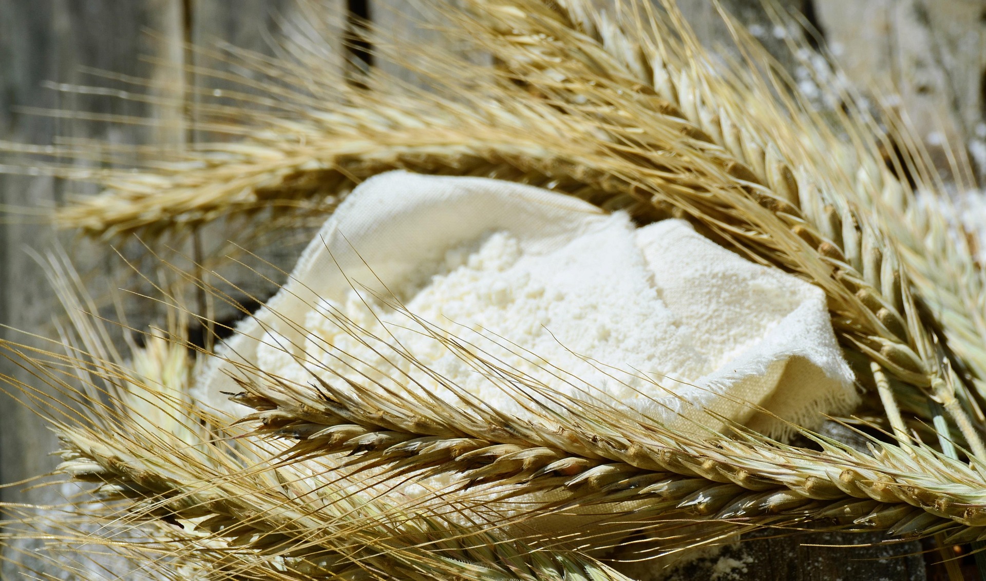 Flour Milling Plant